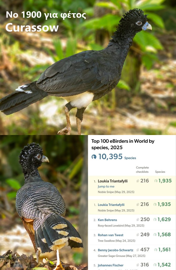 Νο 1900 για φέτος