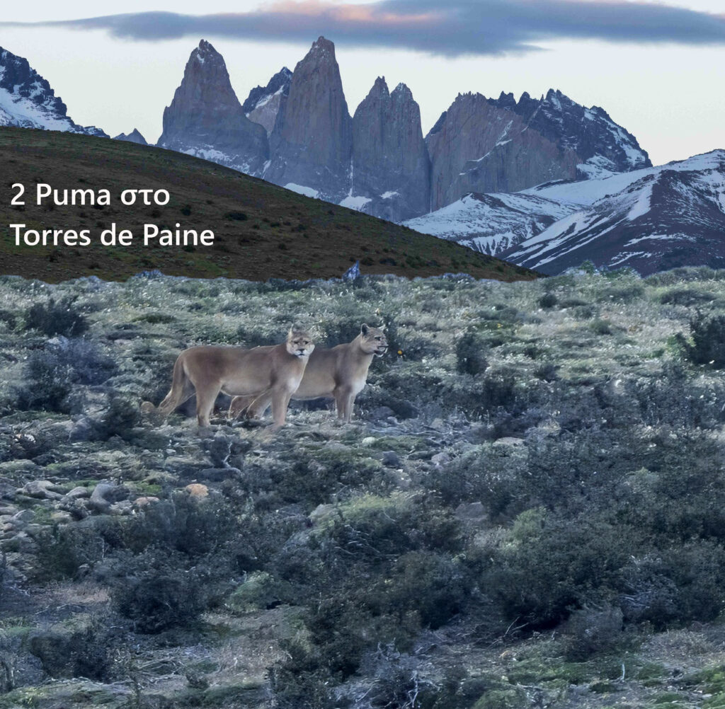 Παταγωνία και Γή του Πυρός