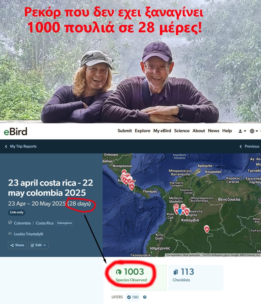 Ρεκόρ που δεν έχει ξαναγίνει: 1000 πουλιά σε 28 μέρες