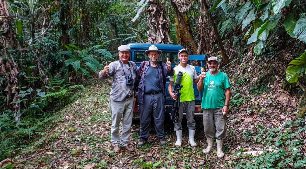 Brazil Atlantic Rainforest